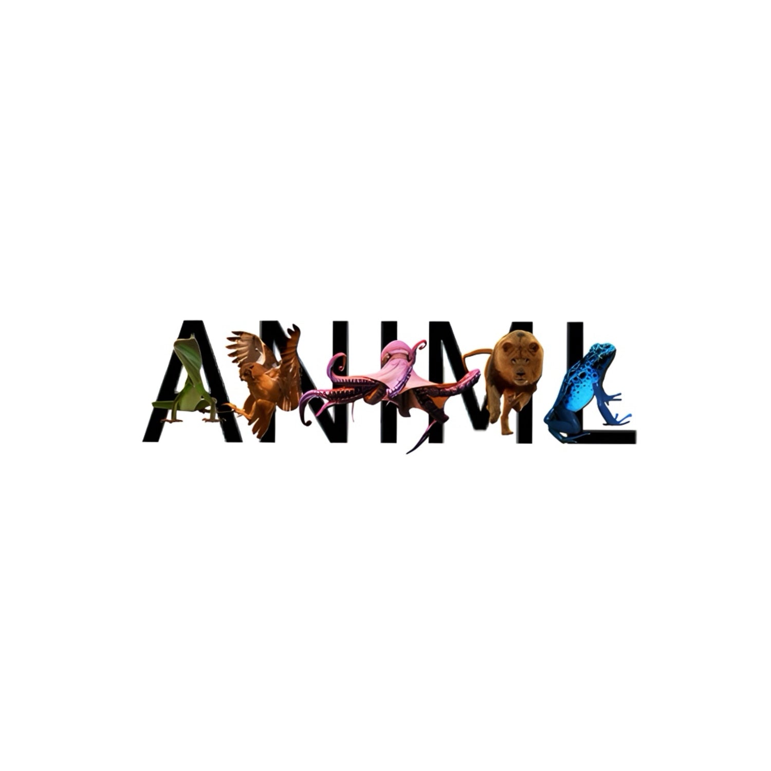 ANIML TEES
