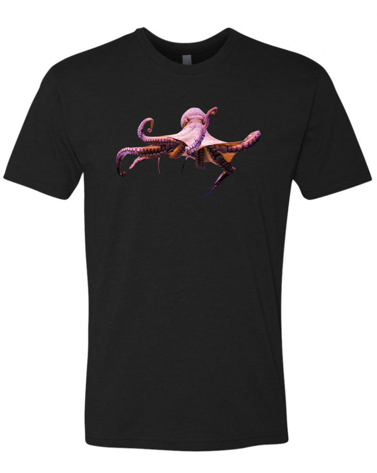 OCTOPUS