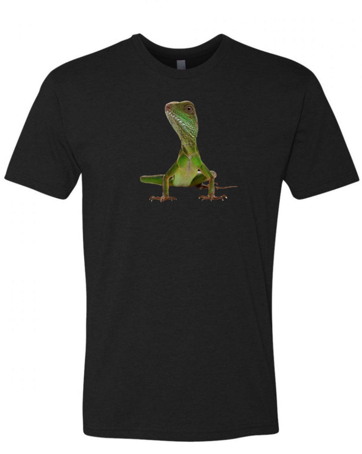 LIZARD
